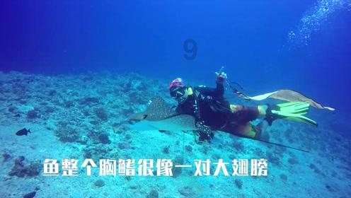 女子下单全国18省外卖半年吃出200多次异物，涉嫌敲诈勒索